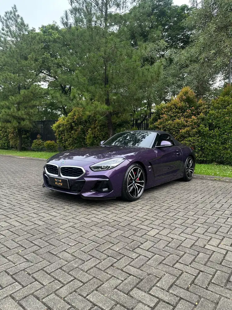 BMW Z4 sDrive30i AT 2023