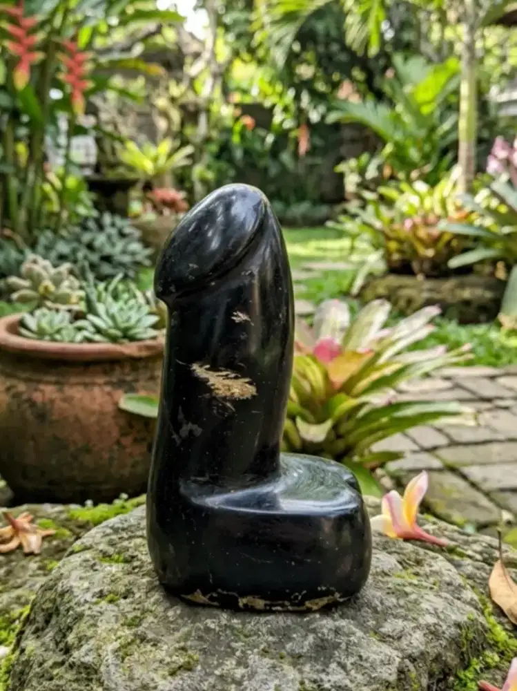 Pajangan Dari F@sil Kelor Cakep