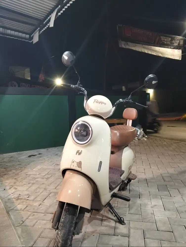 Jual sepeda listrik merk nuv floppy