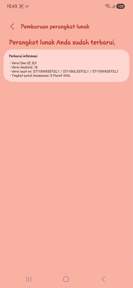 Samsung Galaxy S23 FE 8/256GB – Mulus Like New