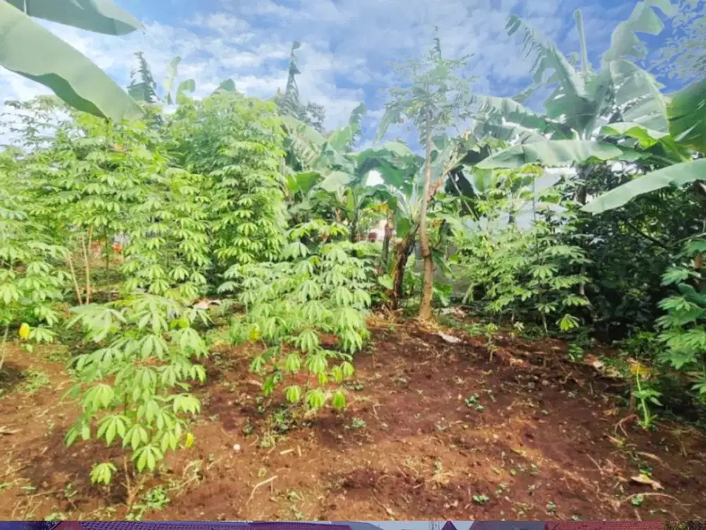 Kavling 396 m² Area Cicendo – Cocok Investasi