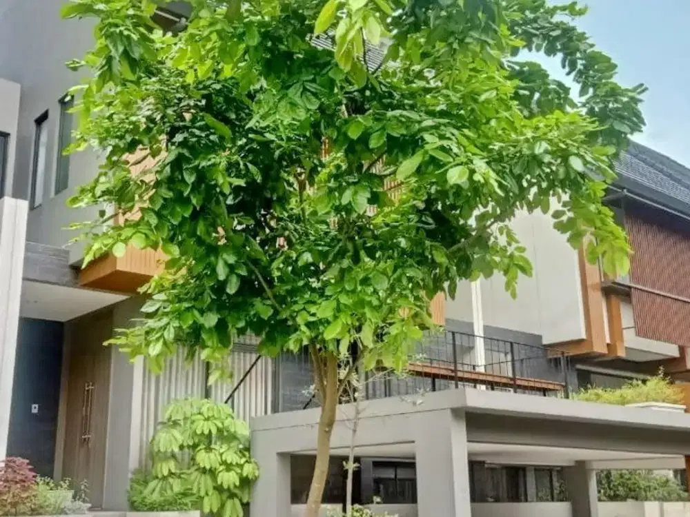 Jual Rumah Rapi depan taman Greenwich Park BSD Tangerang GP806