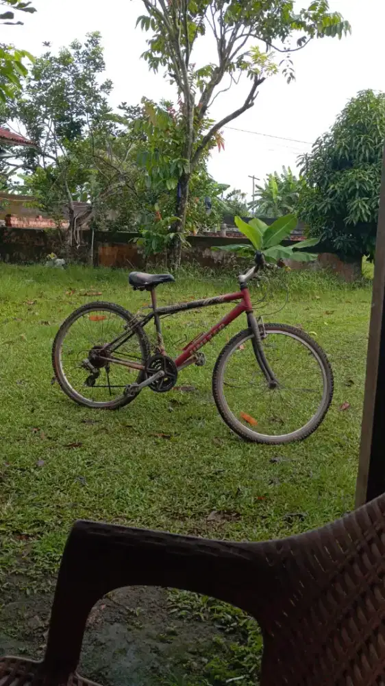 Di jual sepeda dewasa,sprti foto
