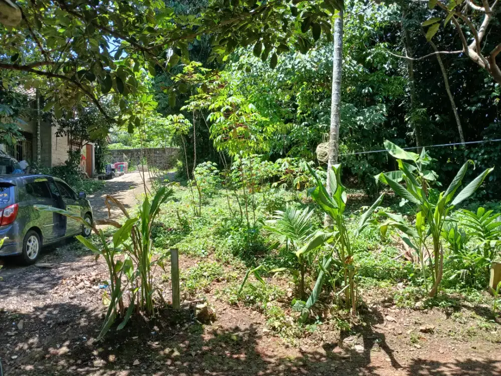 Dijual Tanah 50m Tonjong Tajur Halang Bogor Kabupaten