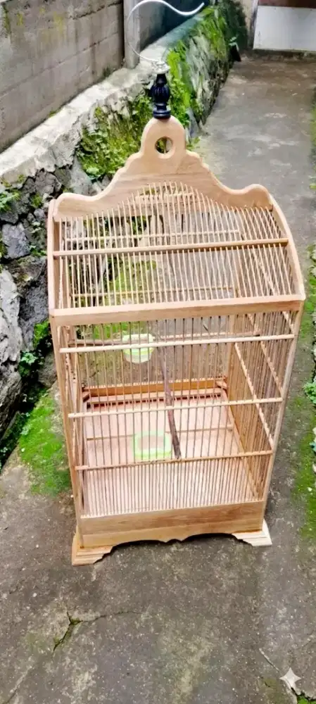 Kandang khosan 40x40