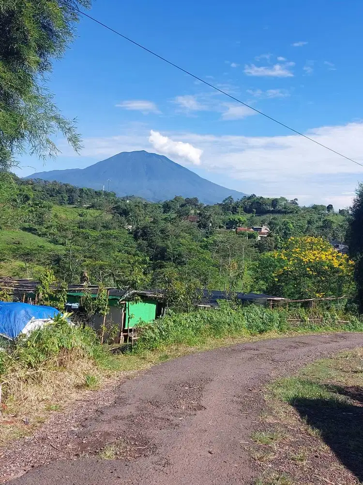 Jual Tanah Kavling per M2 Rp. 80.000-130.000 Cianjur