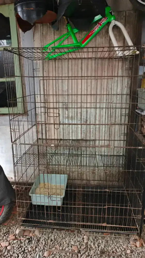 Kandang gonol 2 tingkat