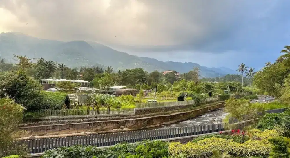 FLASH SALE VOUCHER STAYCAYTION