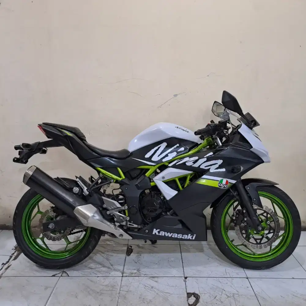 Kawasaki Ninja mono 2020 KM 4000 Gress
