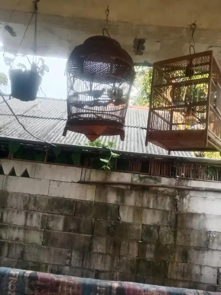 burung berikut sangkar nya