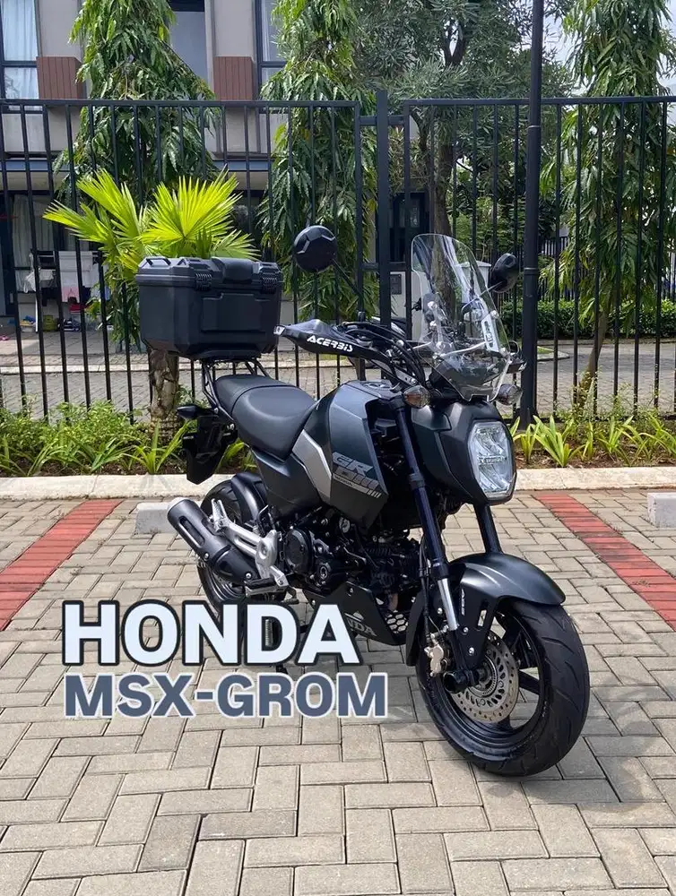 Honda MSX Grom. Bukan monkey.
