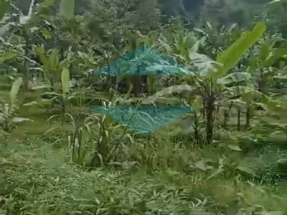 Dijual Tanah Trawas daerah Sekuti