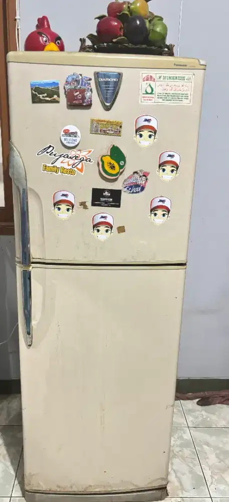 Kulkas 2 pintu Panasonic diamond NR-B25AF
