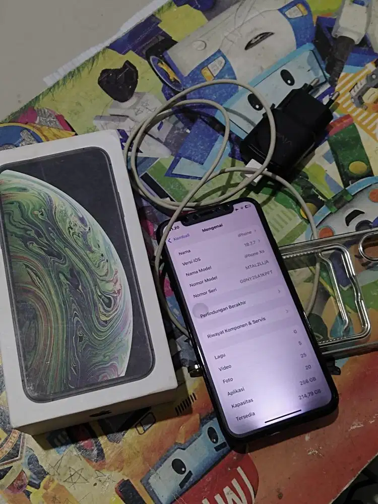 iPhone XS 256 GB