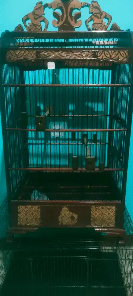 kadang burung kenari