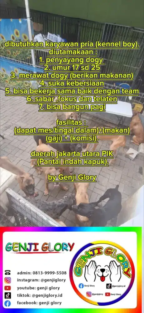Dibutuhkan karyawan pria untuk kennel boy.
