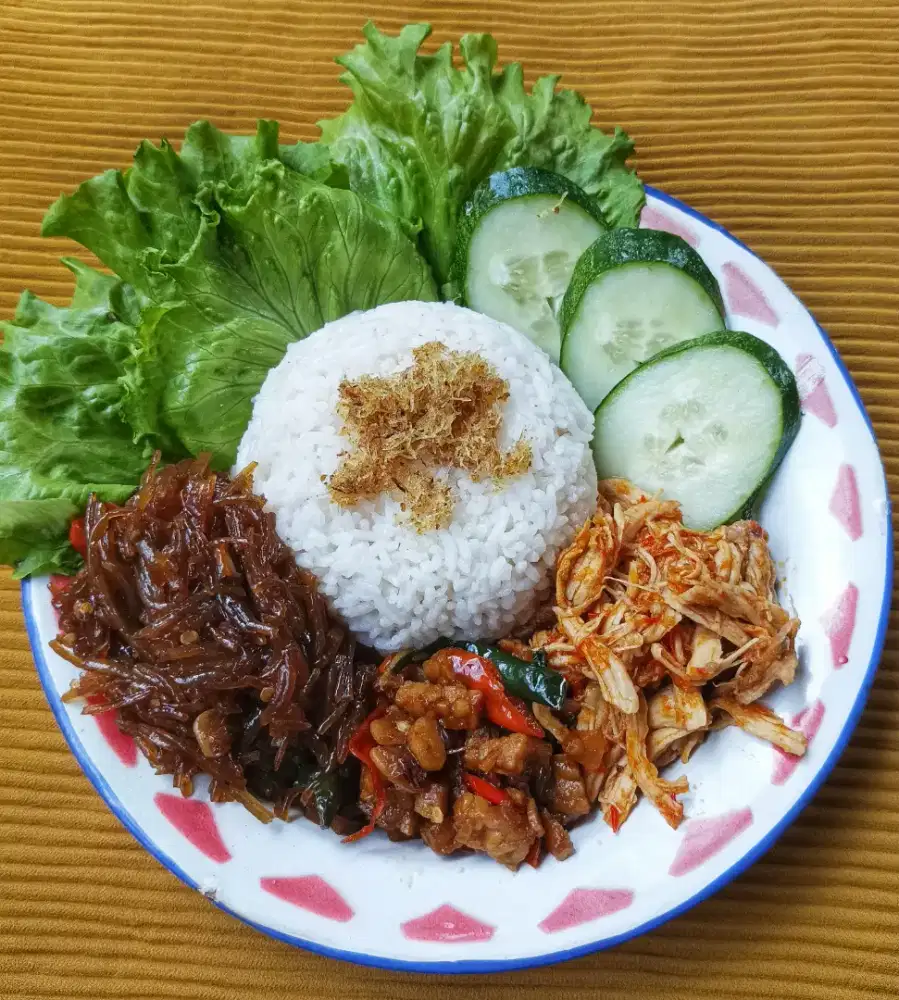 Sego soun ayam suwir