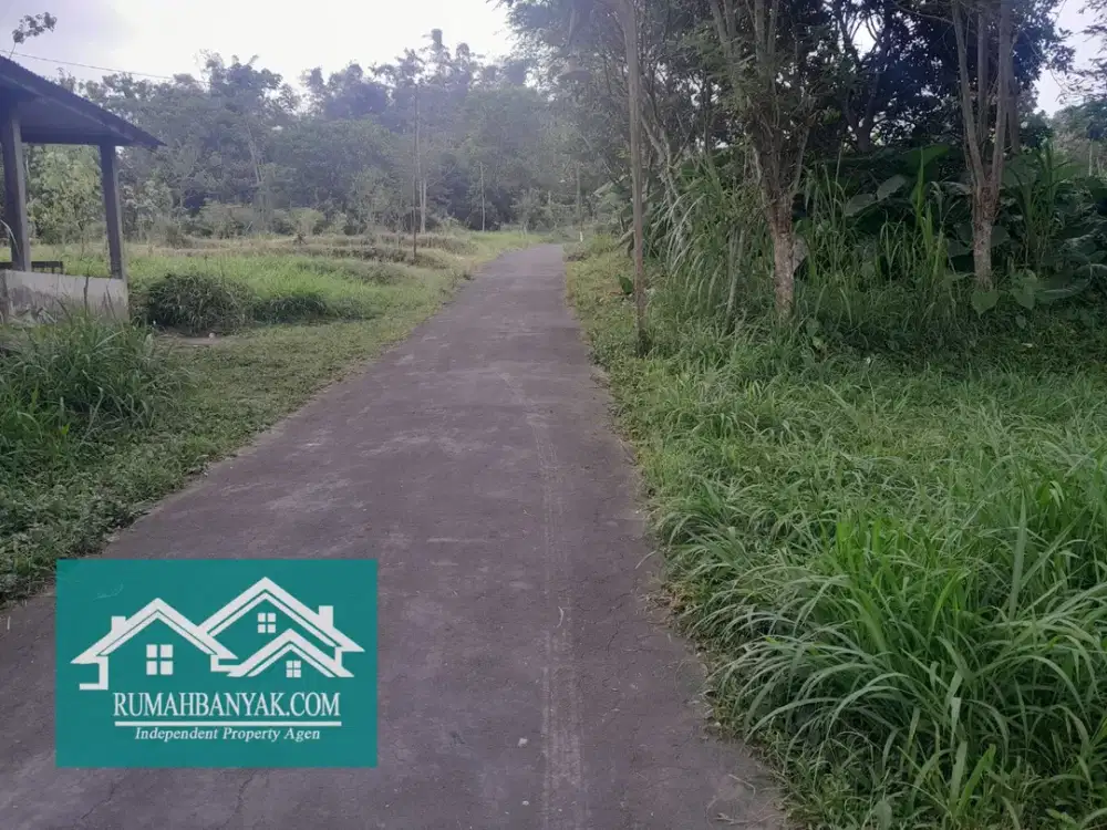 Jual Tanah Pekarangan Murah Di Cangkringan, 500 ribuan – Suasana Pegunungan