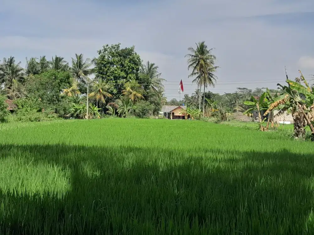 Jual Tanah Murah Di Cangkringan, Cocok Untuk Pensiunan