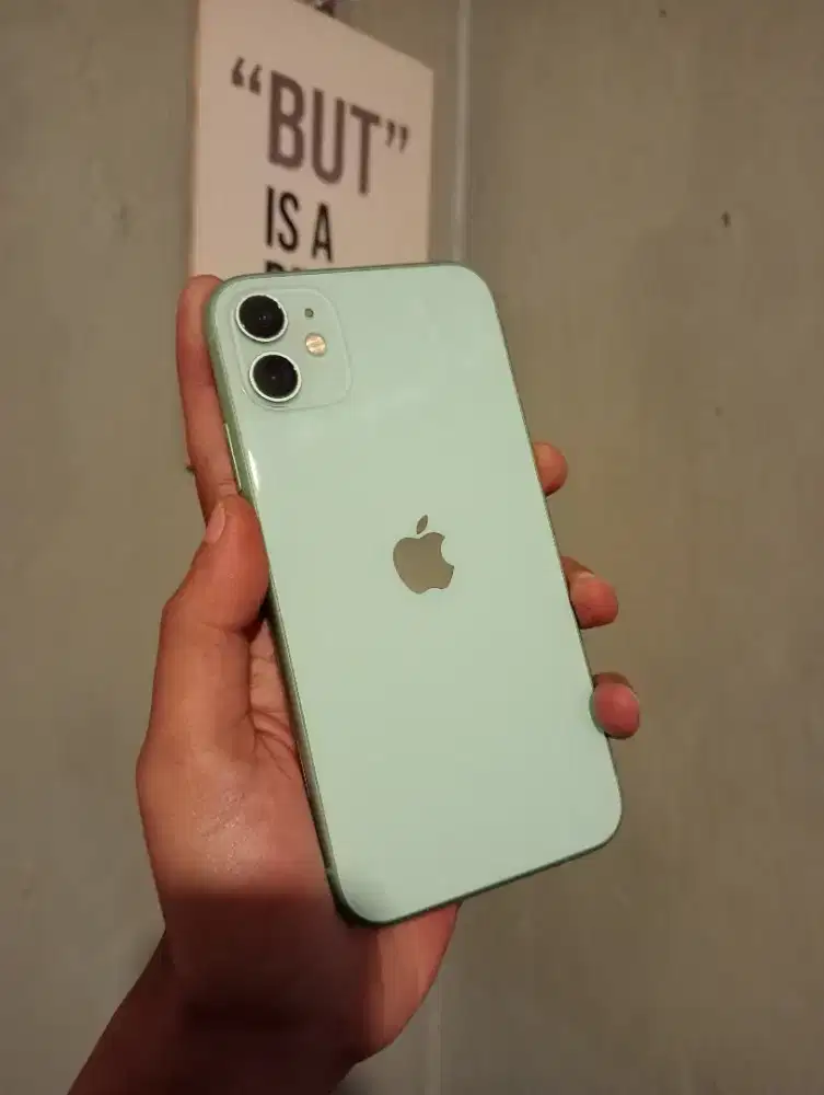 iPhone 11 128Gb Green Mulus Fullset