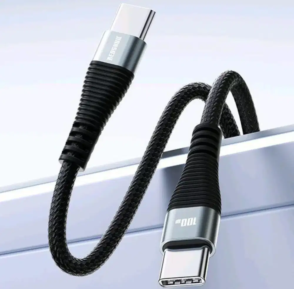 Redskull RSDPD100 C to C 100W