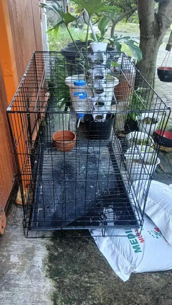 Di jual kandang kucing / kelinci