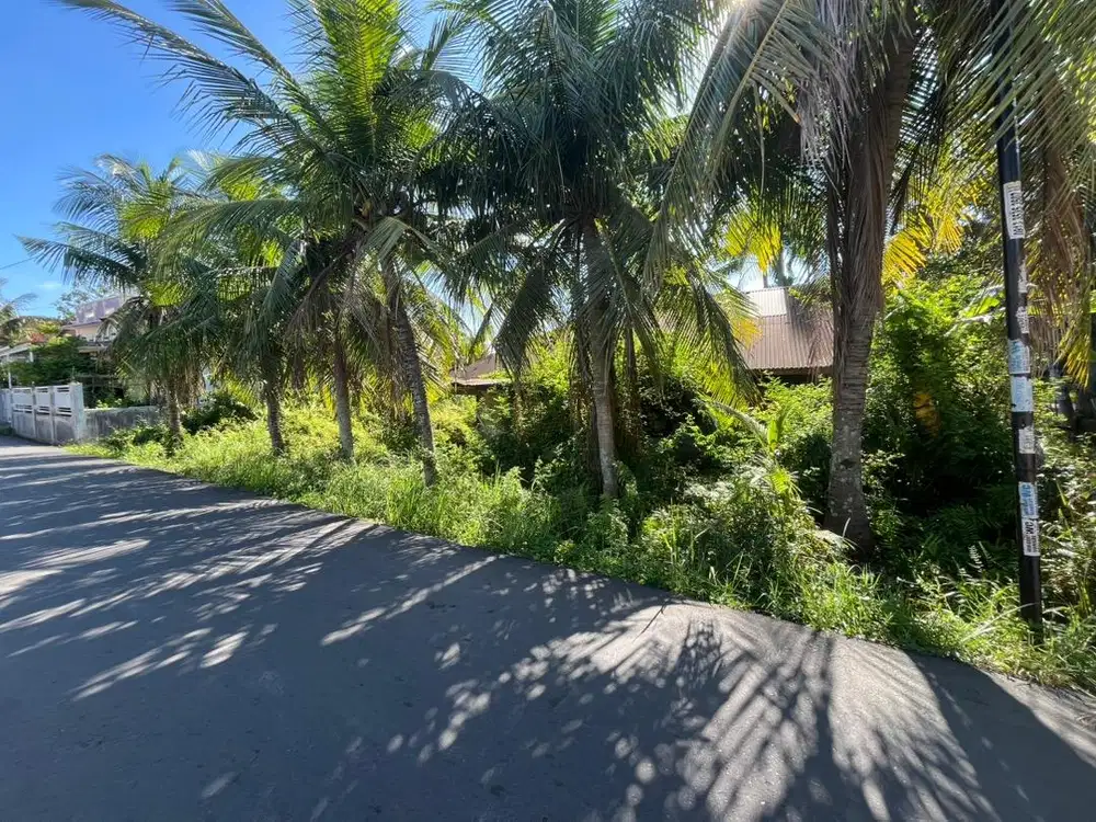 Tanah luas 265.M.pinggir jln aspal gp ajuen hanya 100.M.dari jln utama