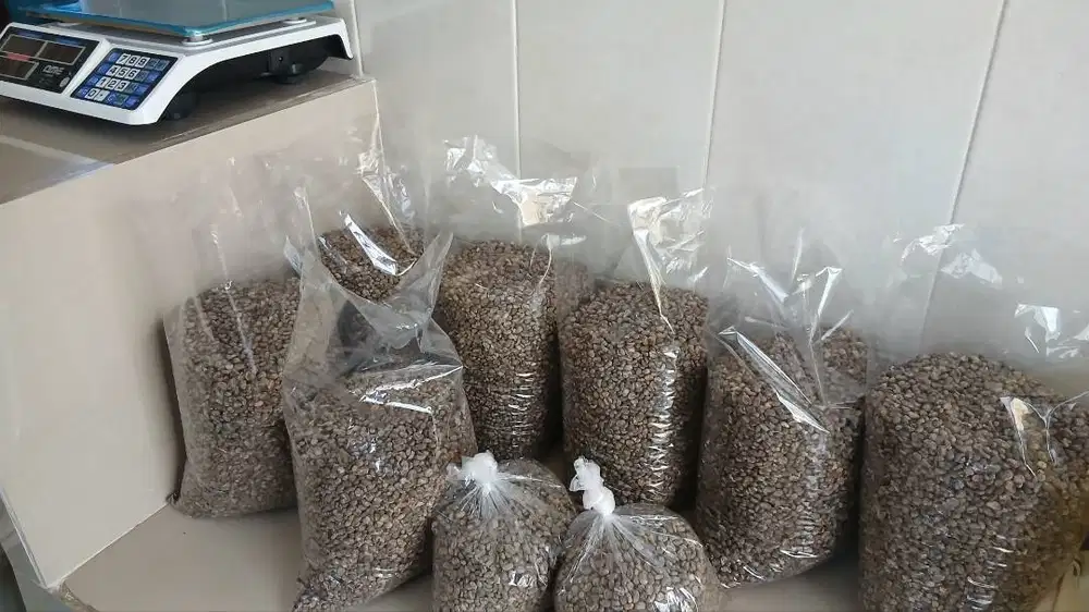 Sedia kopi arabika gayo : green bean, roasbean, bubuk