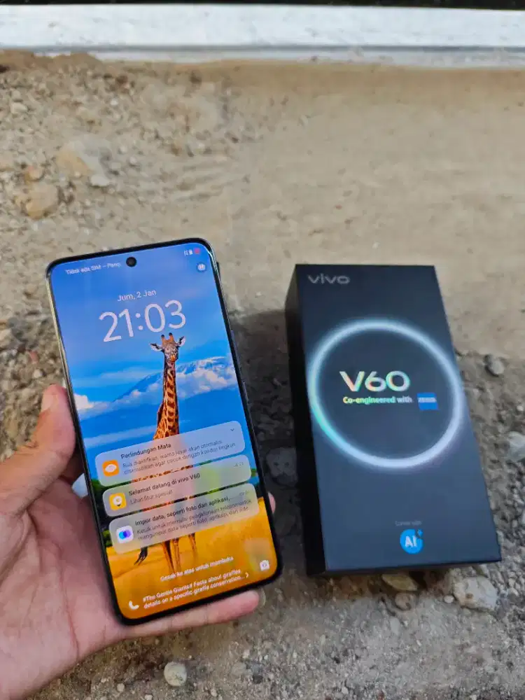Vivo V60 5G 12/512GB Fullshet Original