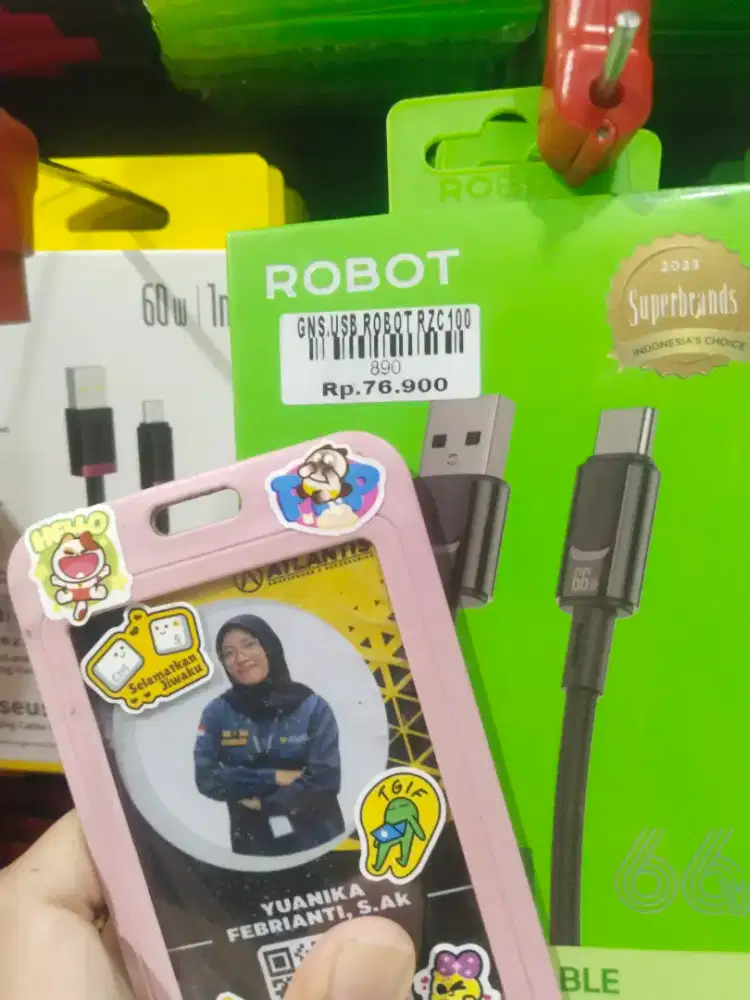 USB ROBOT RZC100