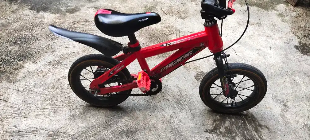 Sepeda anak ukuran 12