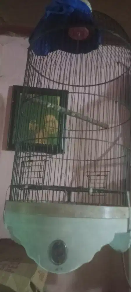 Jual cepat kandng besi ebod jaya