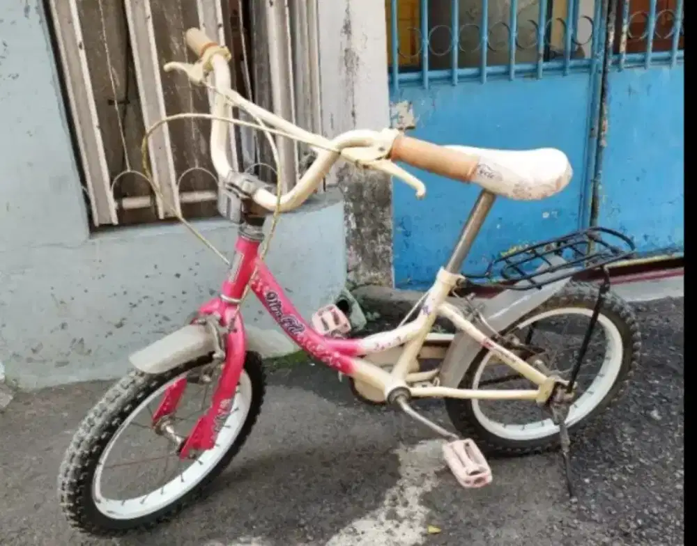 Sepeda Anak siap pakai