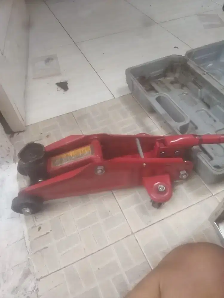 Dongkrak Buaya normal