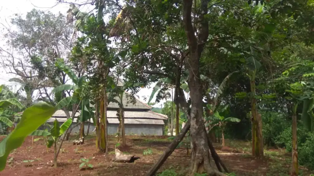 Di jual tanah 1000 m