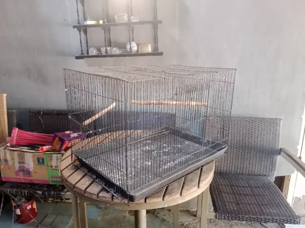 Kandang ternak lakbed atau kenari