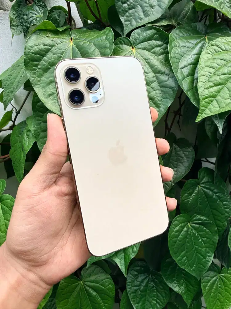 IPHONE 12 PROMAXX 128GB BH 100% MULUS NO MINUSS