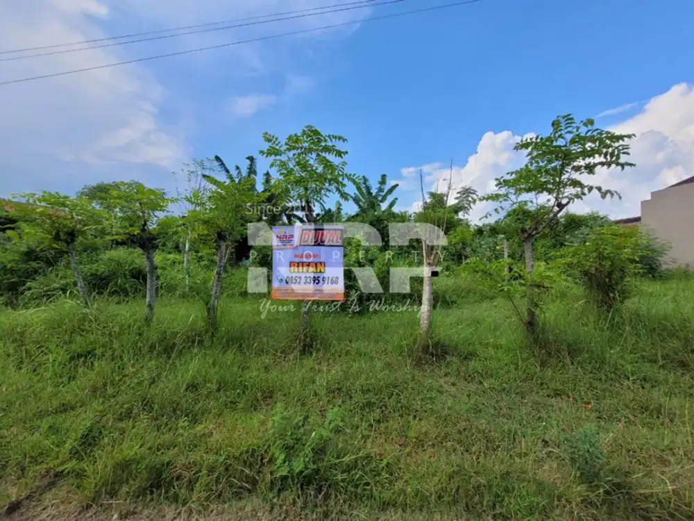 Dijual Tanah Murah 1 Jutaan Per Meter di Singotrunan - Banyuwangi