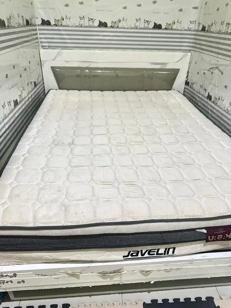 Spring bed kasur dipan kangaroo tipe queen