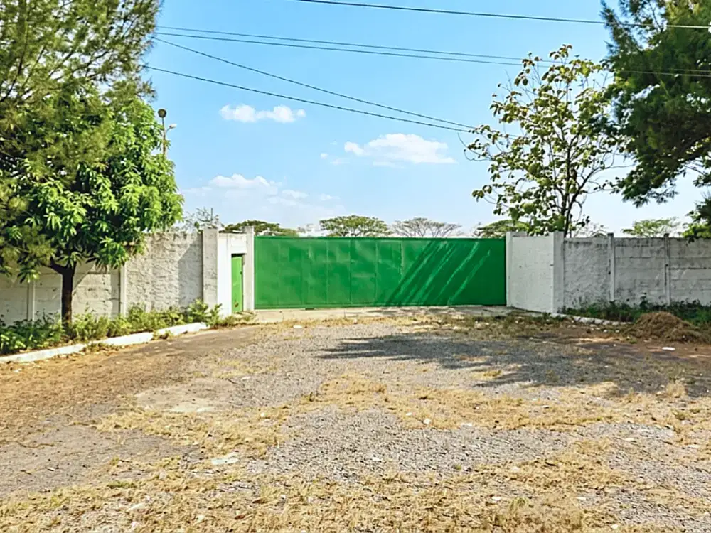 JUAL TANAH REMBANG SIAP PAKAI/BANGUN  PINGGIR JALAN PROVINSI PANTURA