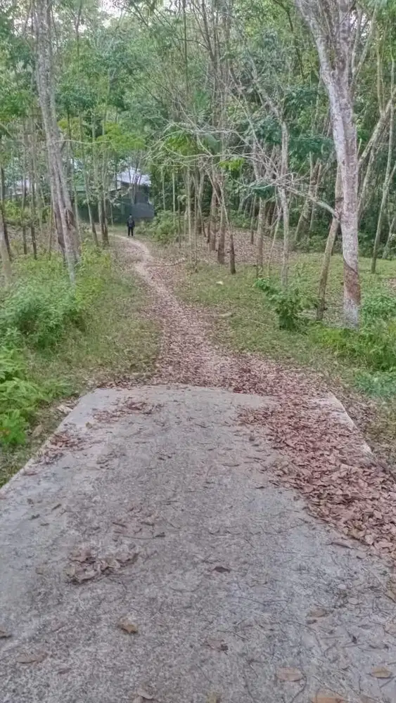 [DIJUAL CEPAT] TANAH 2,1 HEKTAR - Harga DIBAWAH PASARAN (NEGO)