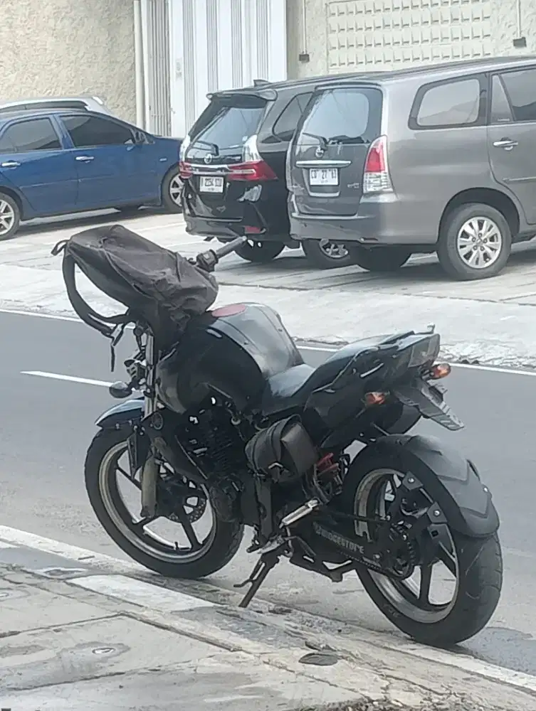 Bison karbu tahun2012