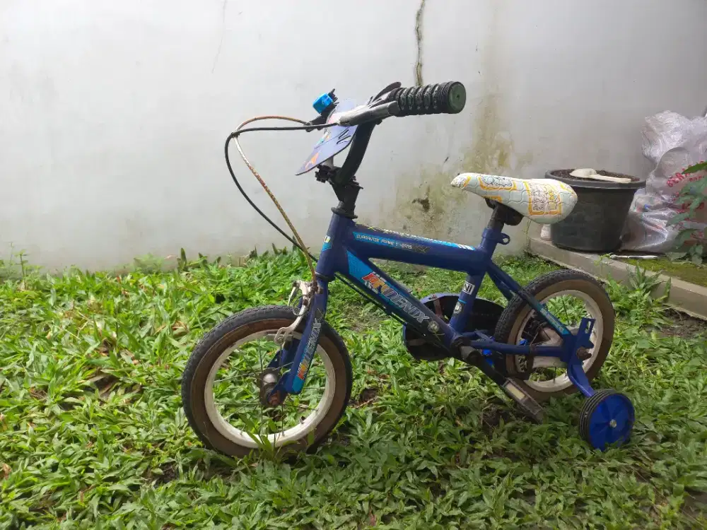Sepeda anak 12 inch Phoenix