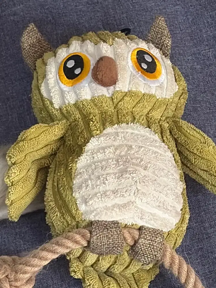 Dicari art wanita dan Pria tinggal dalam di Pluit Jakarta utara