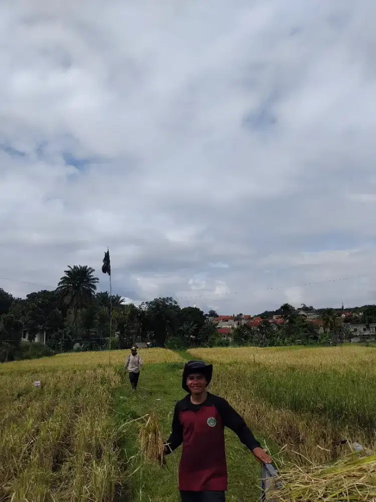 Cari kerjaan apa ajh