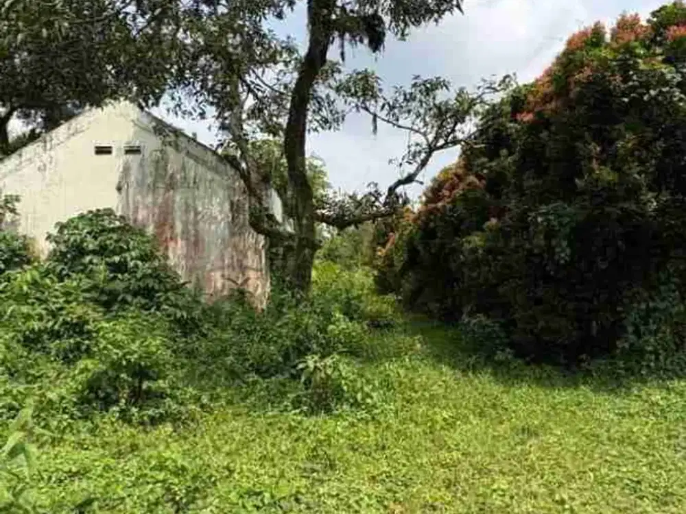 Dijual  tanah kosong via lelang Lokasi: Jalan Jampang Karikhil kel.tegal Kec.Kemamg Kab Bogor