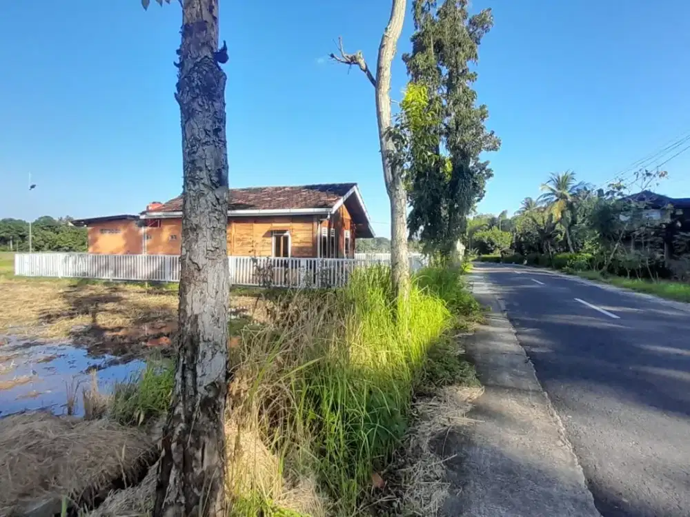 Tanah sawah view menoreh pinggir jalan raya dkt dg resto,out bond, pasar dan fasum fasos Lokasi  banjarasri kalibawang.JK4007