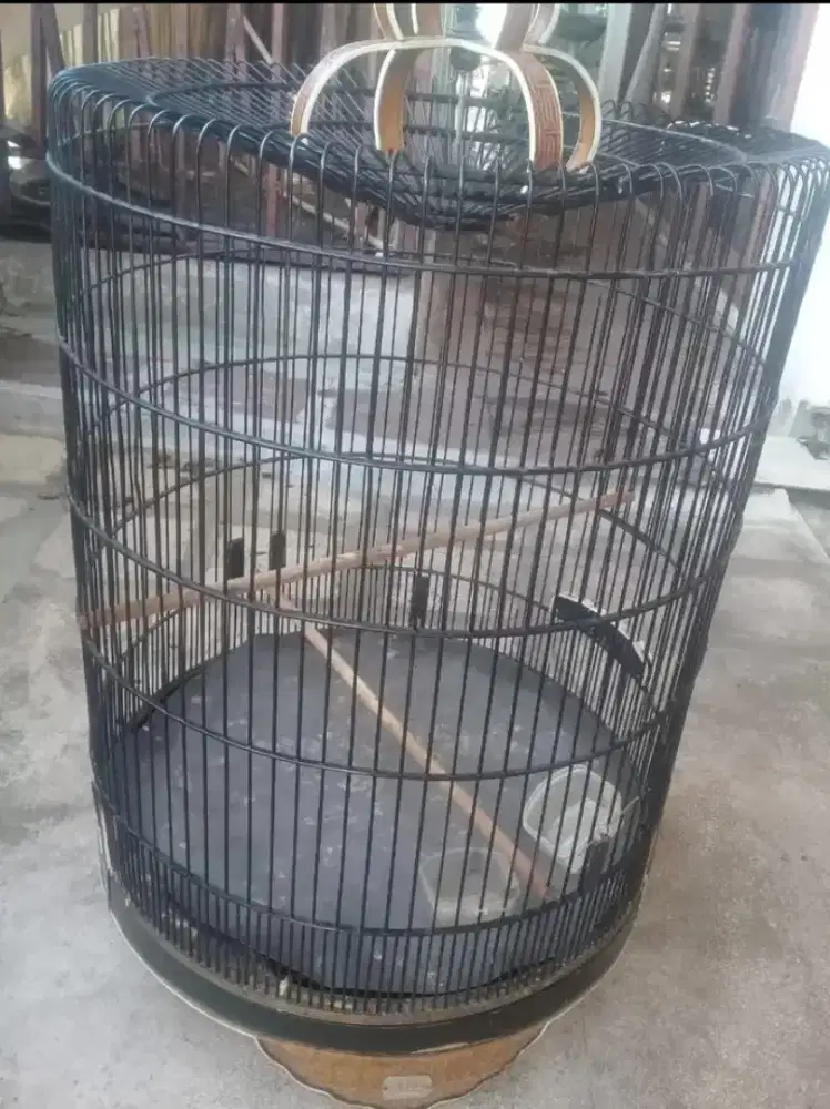 Kandang murai no 1 BT