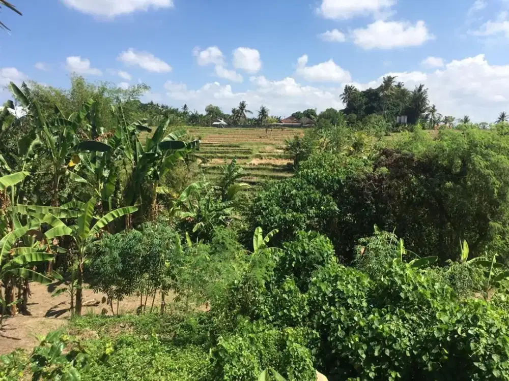Tanah View Sungai dan Jungle di Singapadu Gianyar