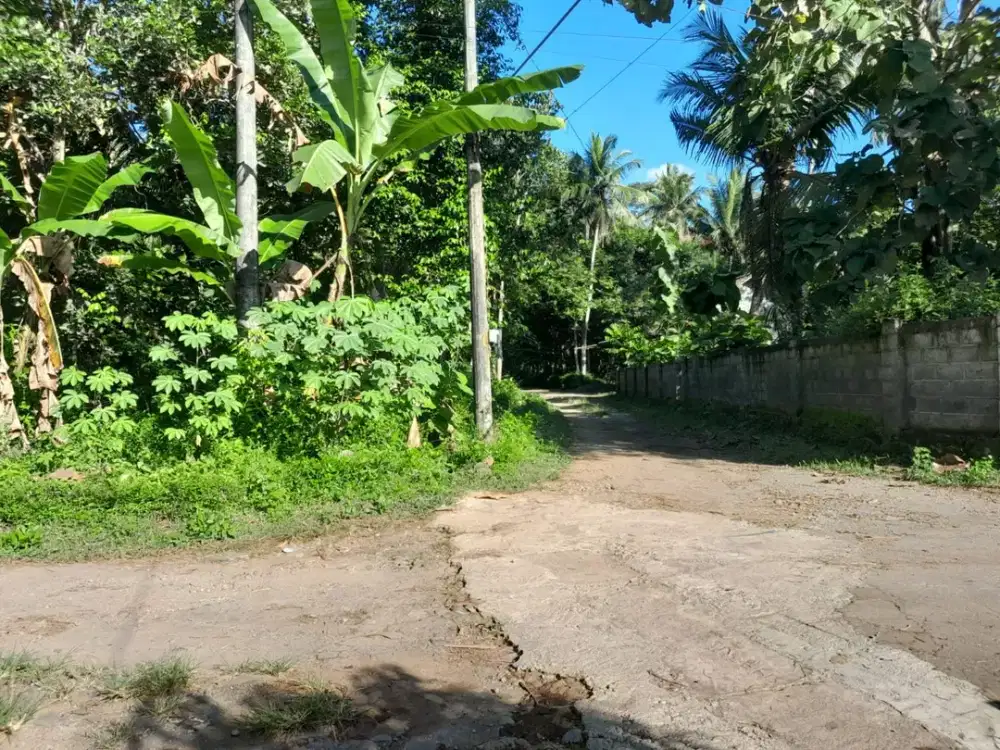 TURUN HARGA TANAH PEKARANGAN UTARA RESTO GEBLEK PARI NANGGULAN AKSES MUDAH KE JALAN RAYA.JK4008